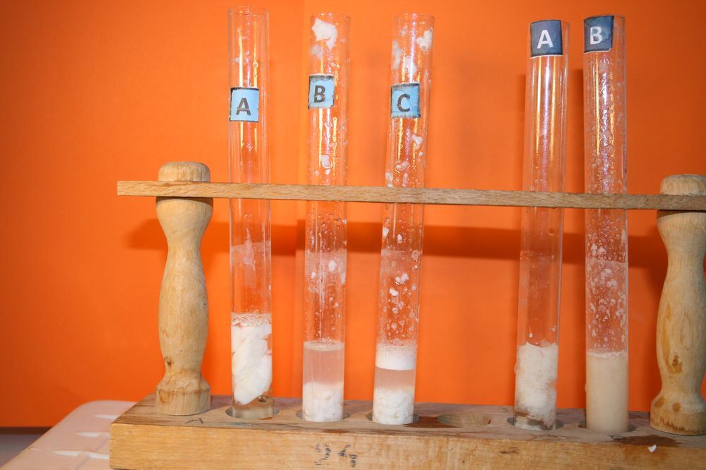 gal/LES_CINQUIEMES/ACTIVITE DIGESTION IN VITRO/Groupe_04/Groupe04_T_01h20min/Groupe04_T_01h_20min_5.JPG